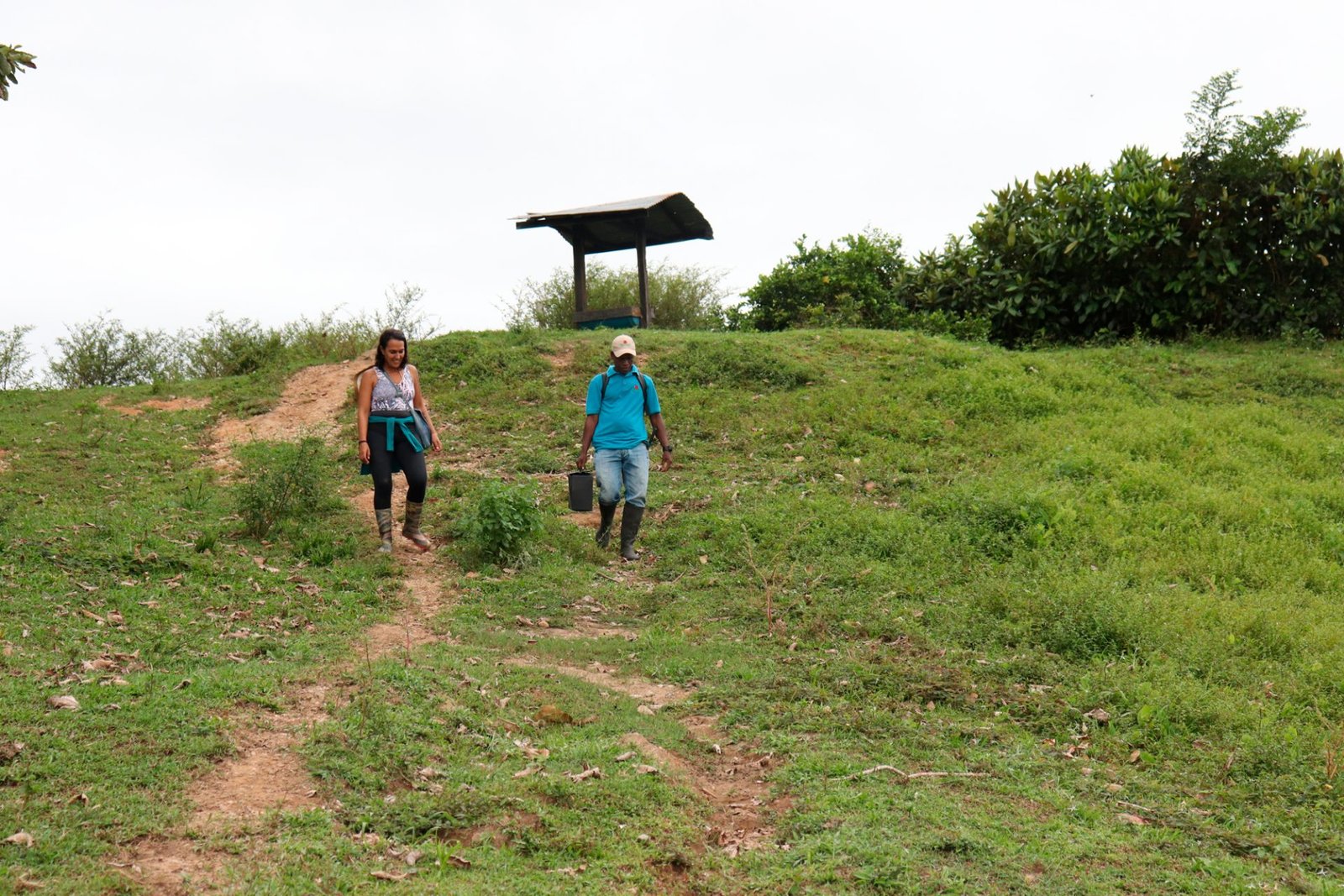 Bosque tropical, Vive la magia en Necocli