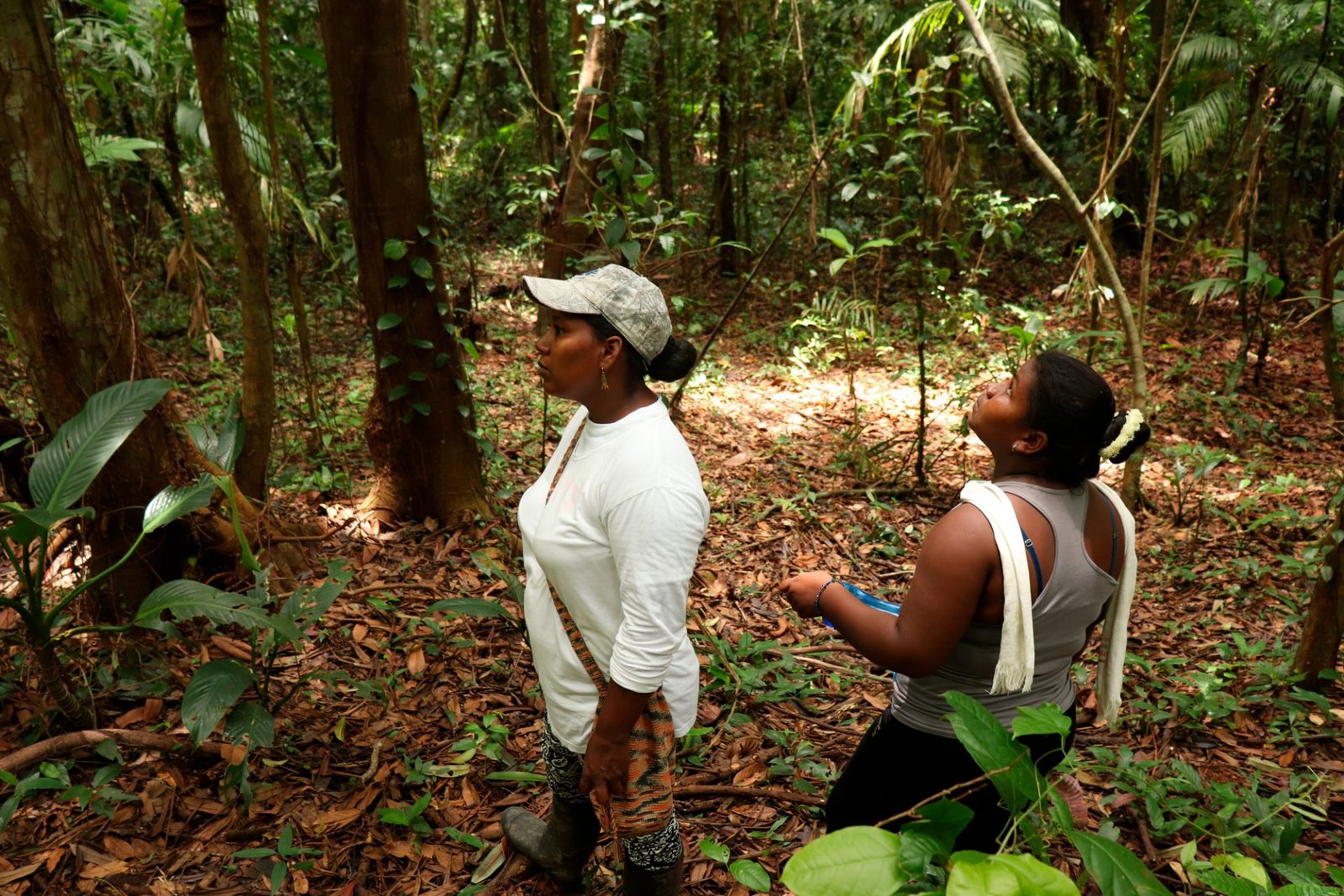 Bosque tropical, Vive la magia en Necocli