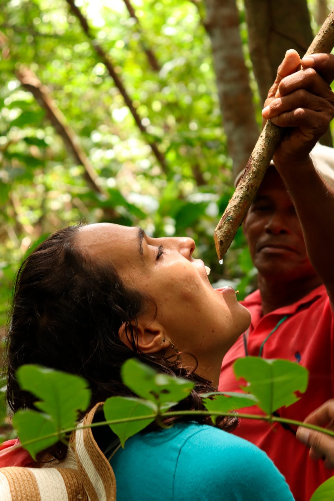 Bosque tropical, Vive la magia en Necocli