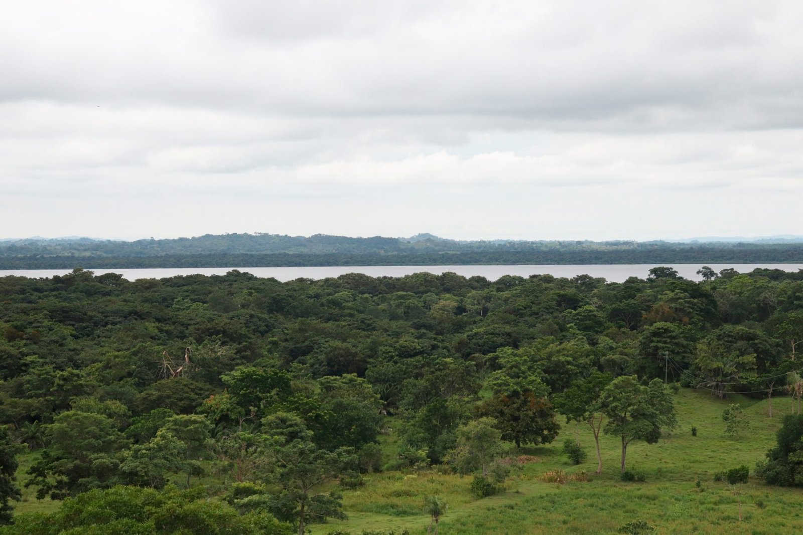 Bosque tropical, Vive la magia en Necocli