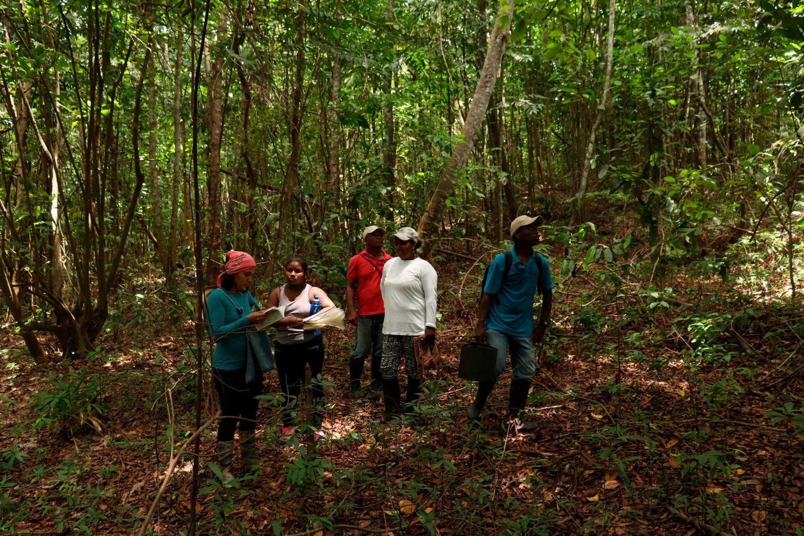 Bosque tropical, Vive la magia en Necocli