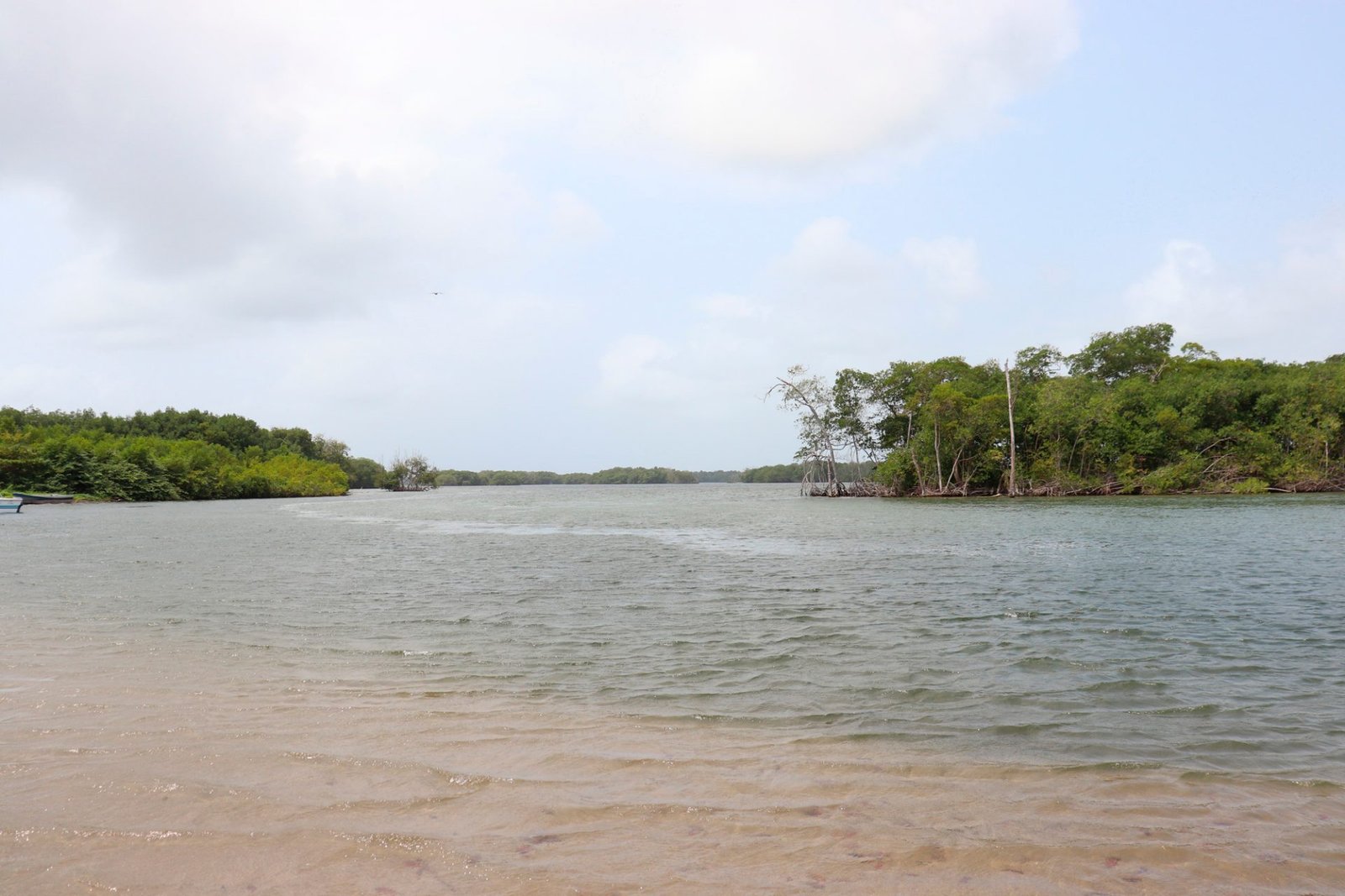 Ensenada de Rio negro, Necocli
