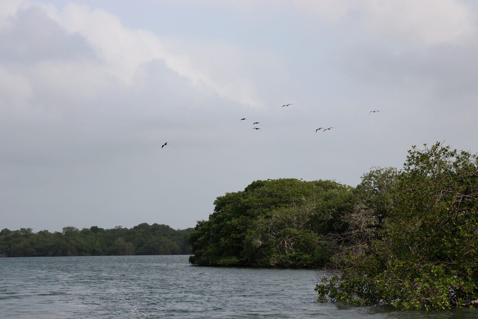 Ensenada de Rio negro, Necocli