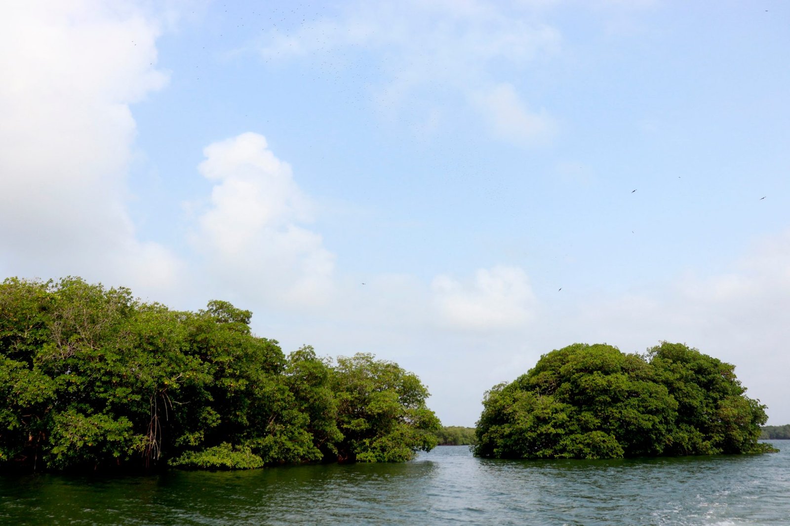 Ensenada de Rio negro, Necocli