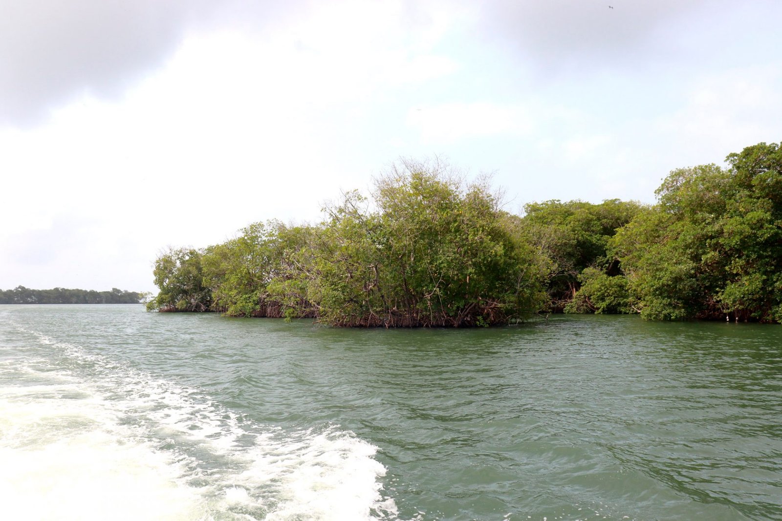 Ensenada de Rio negro, Necocli