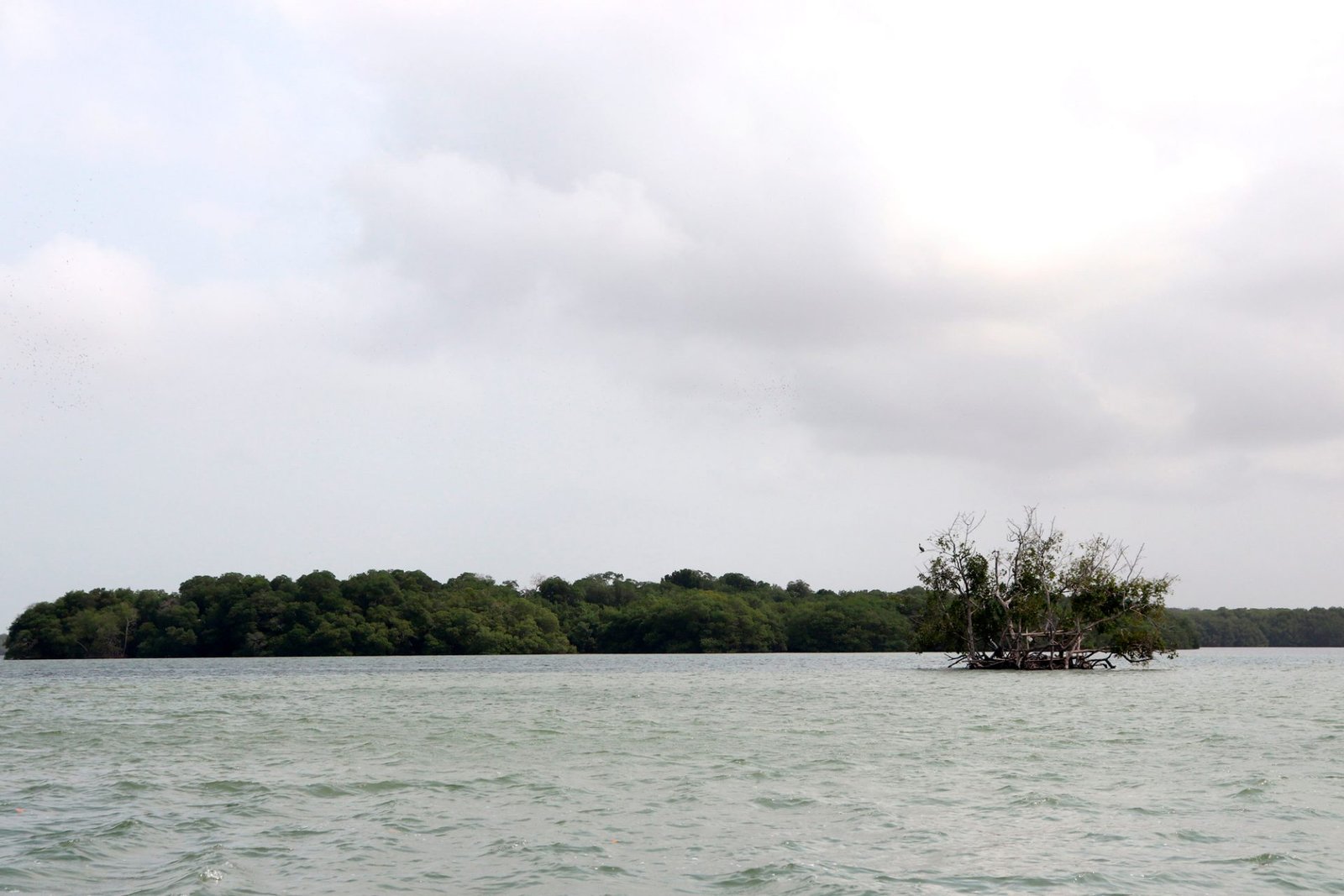 Ensenada de Rio negro, Necocli